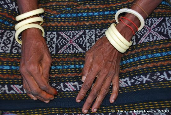 Venedora. Mercat del matí. Maumere. Illa de Flores. 11/04/08